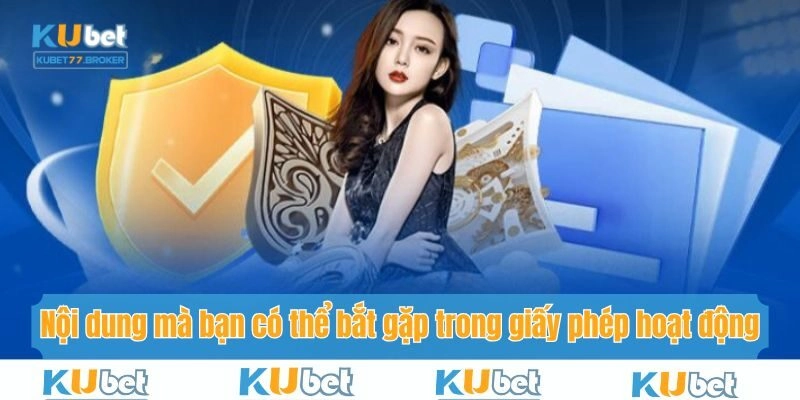 Những nội dung mà bạn sẽ tìm thấy trong giấy phép